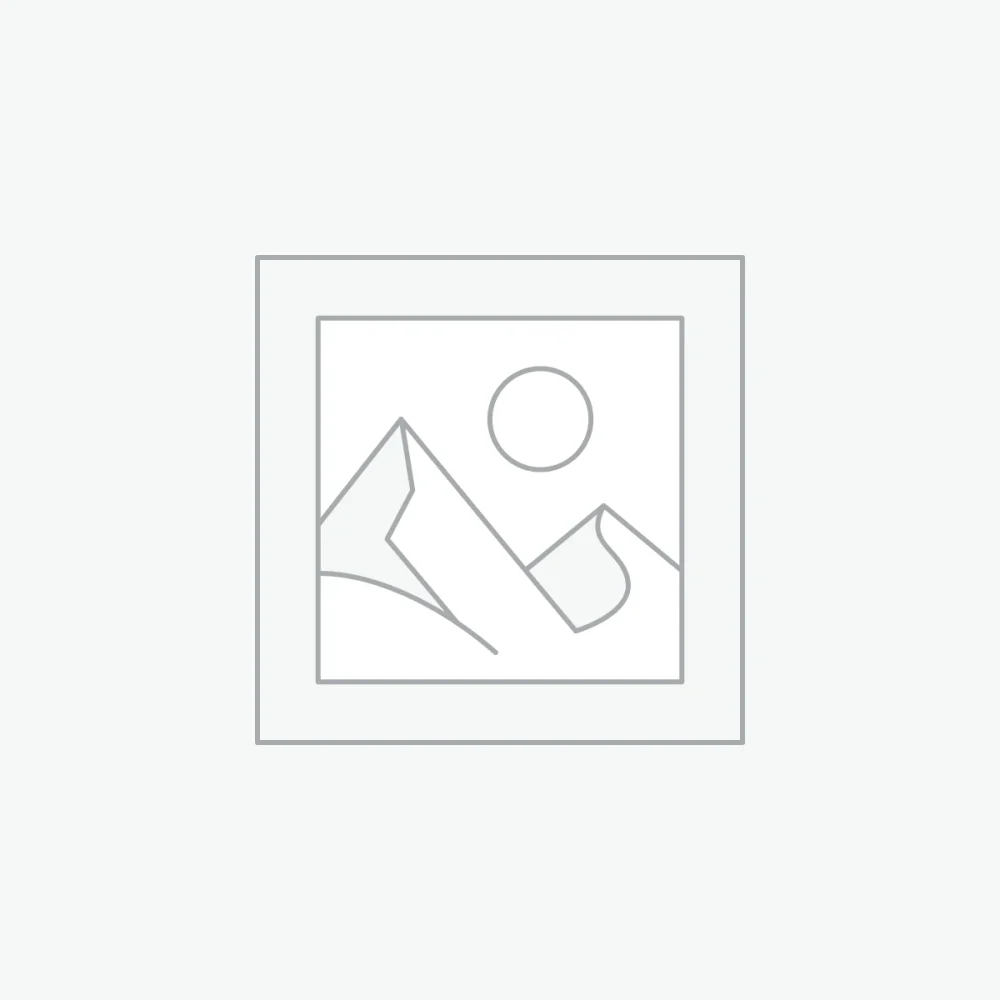 杉林溪烏龍茶包